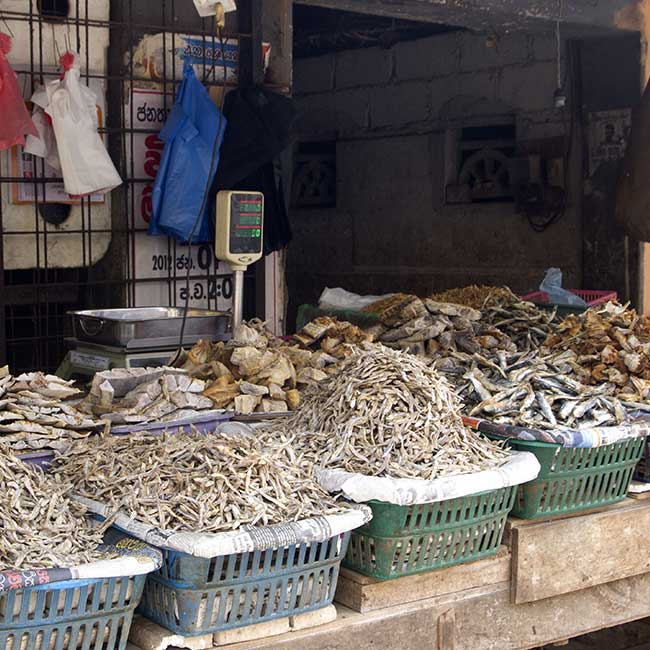 wildlife products on display in a market